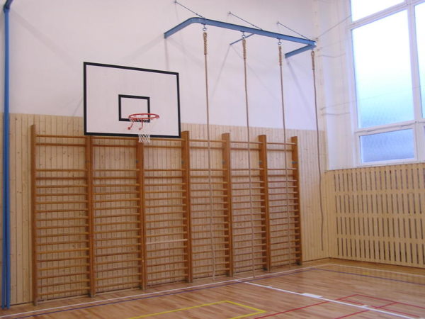 Basketbalová konštrukcia, vysazení do 250 cm